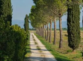 Agriturismo Bandinelli