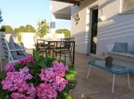 B&B Pinulà