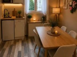 Appartement cosy en hyper centre