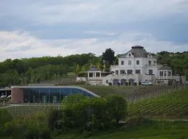 Winery La Gora