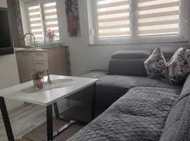 Apartman Sava
