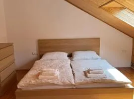 Apartment sklep 33E