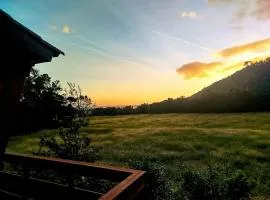 Stay in Pico 17 Casa da Pedreira