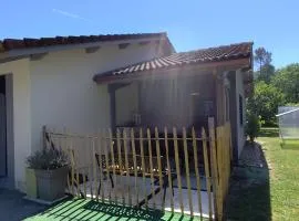 Le petit nid dans les bois