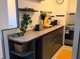 Centro Rancagua Comfort , 3 Habitaciones