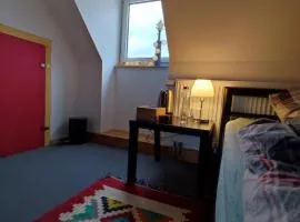 Nice room for mountain lovers