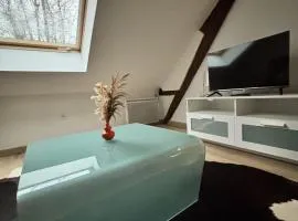 Appart cosy mansardé Dijon gare 1km animaux acceptés