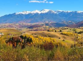 Glamping ZAZEN, hotel a Drumu Carului