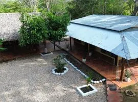 El descanso del sol llanero