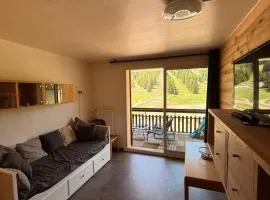 Studio aux pieds des pistes et des commerces
