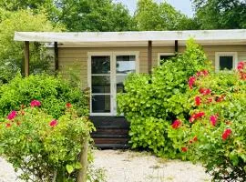 Mobil-home Camping 4 étoiles Parc Aquatique Lac
