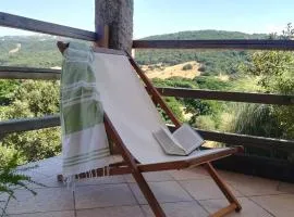 L'Elicriso - Oasi di Relax in Gallura con Veranda Panoramica