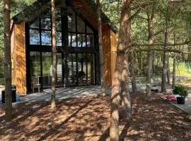 LUKSUSOWE DOMKI NAD JEZIOREM Zapach Sosny Bartoszylas Jacuzzi Sauna Kaszuby