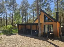 Leśne SPA Borsk Domki z Basenem, Sauną i Balią na Kaszubach nad Jeziorem Wdzydzkim