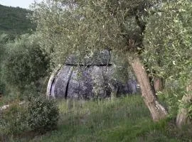 Cosmo Camp