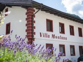 Apartments Villa Montana