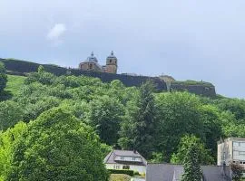 Le nid de la citadelle