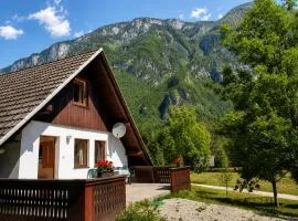 Bohinj Star Apartments