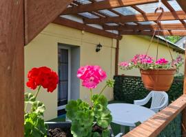 Agroturystyka Przy Rajskim Sadzie, hotel v destinaci Nowy Berezów