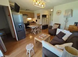 Appartement meublé T3 avec terrasse vue montagne