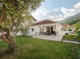 House Olive Tree