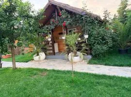 Cabana Sorina