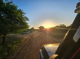 Villa Emerald Yala safari tours