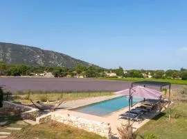 Provençal Mansion With Pool In Maubec Luberon