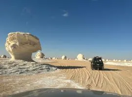 White Desert Experience