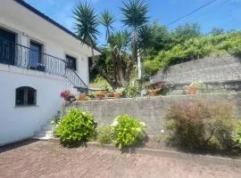 Casa das hortensias