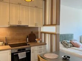 Edison Villa 214