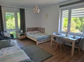 Apartament VERDE Malbork centrum