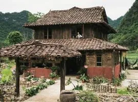 Nùng Indigo