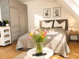 BELLA - Business&Family Ap 16, 100m vom Konzerteingang Schloß, Parkplatz, SmartTV, Netflix, Waschmaschine, 24h Checkin, 46qm