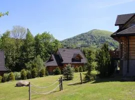 Mosorny Park Zawoja Całoroczne domki w górach
