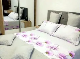 Apartament relaxare Herculane