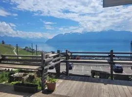 Loft duplex à Grandvaux entre vignes et vue sur le Léman