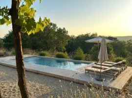 Stone Villa Istria Private Pool Paradise