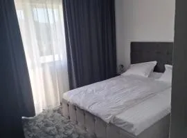 Pensiunea casa duculescu