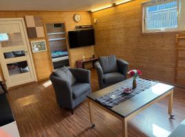 Child friendly basement apartment, hotelli kohteessa Lii
