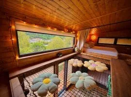 Sunny Garden House
