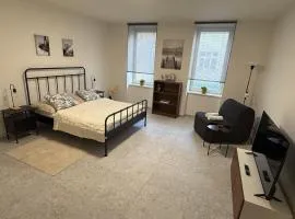 Hajkova Apartment