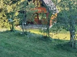 Brvnara Iva Kolašin Crna Gora