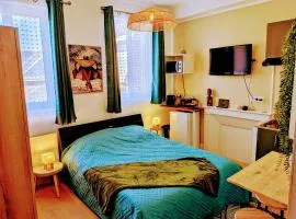Studio Coeur Ville TV Wifi Parking Lave Linge