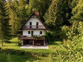 Klimatyczny dom z widokiem na Babią - kominek i ogrodzenie