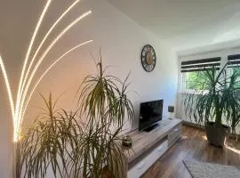 Ferienwohnung Balkon Grupe