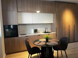 Cozy studio Apartment