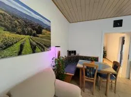 Ferienwohnung Stani