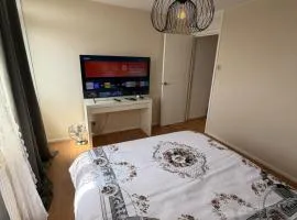 Comfortable Bedroom near Wembley Stadium