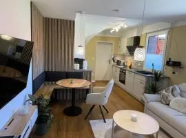 Cozy apartment in a remote location
